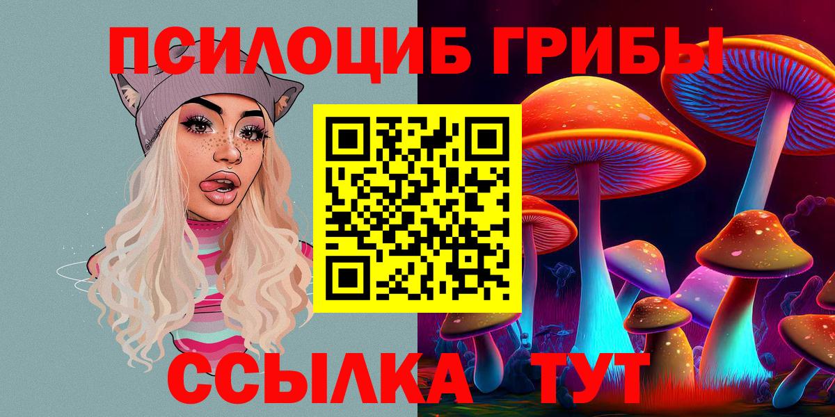 Омск  Псилоцибиновые грибы GOLDEN TEACHER  Вход с VPN 